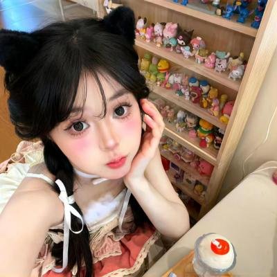 紫禁秘录