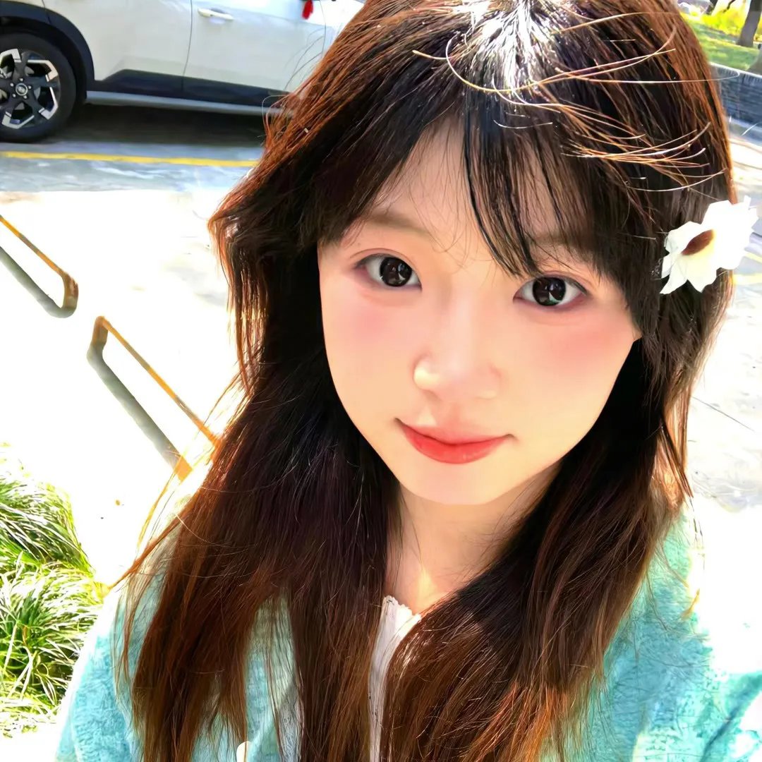 科搜研之女第24季